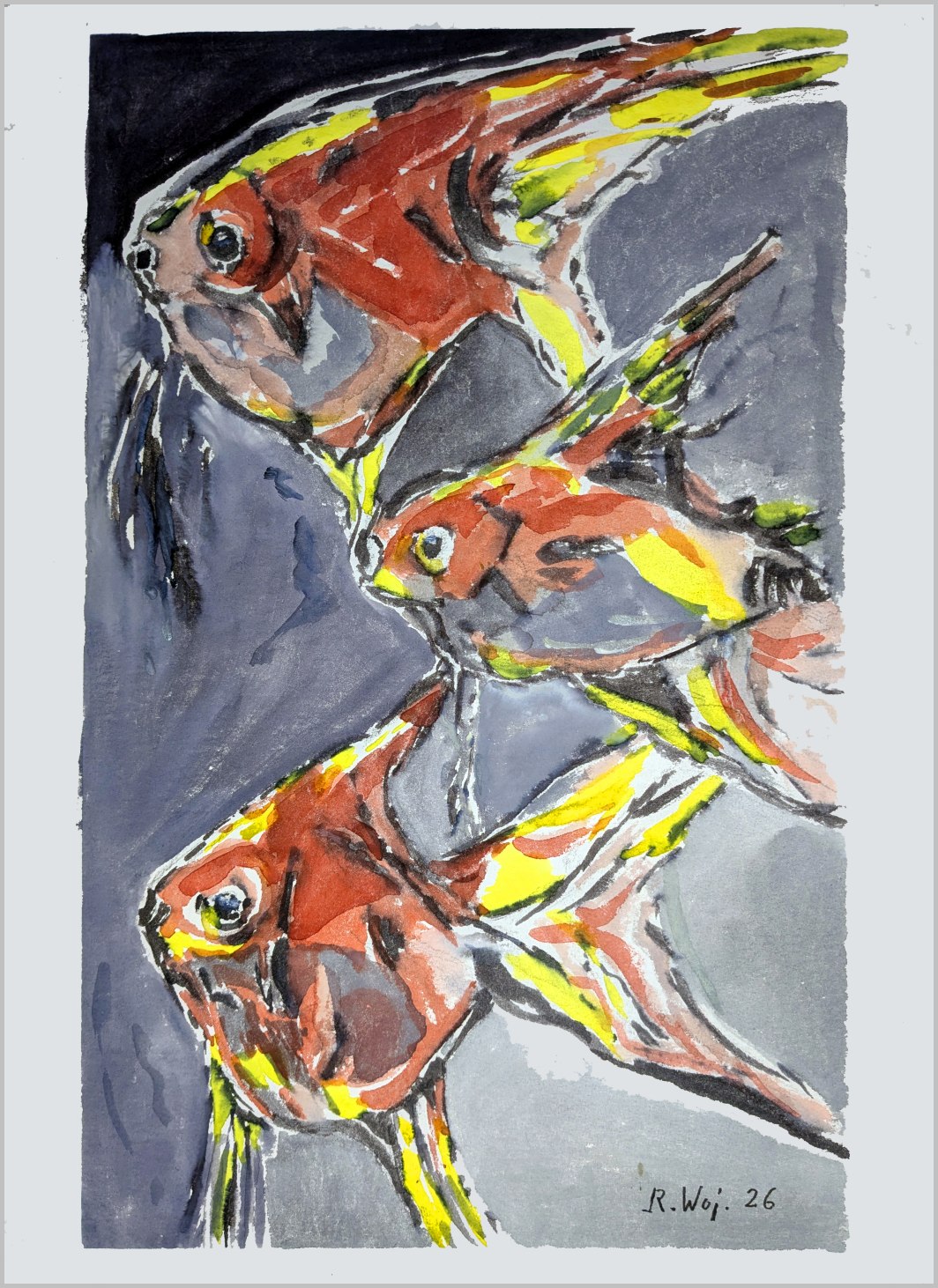   Zierfische